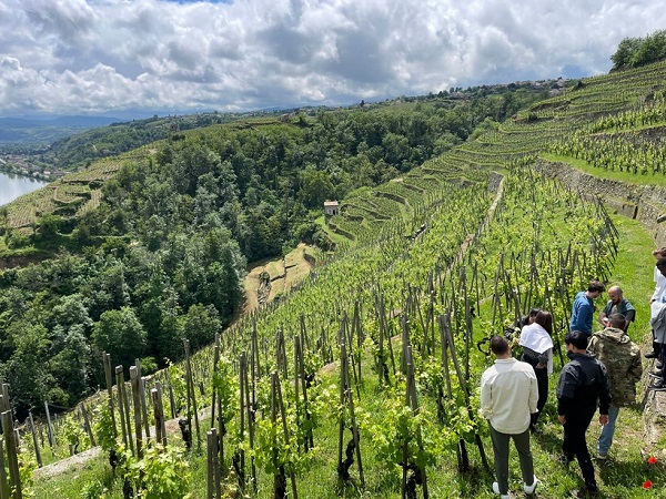 Visite gourmande dans un vignoble organisée par Rhône Trip